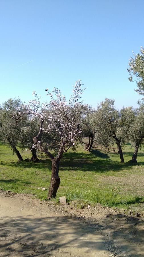 Cal Joanet, Acollidora Caseta A גרטלופס מראה חיצוני תמונה