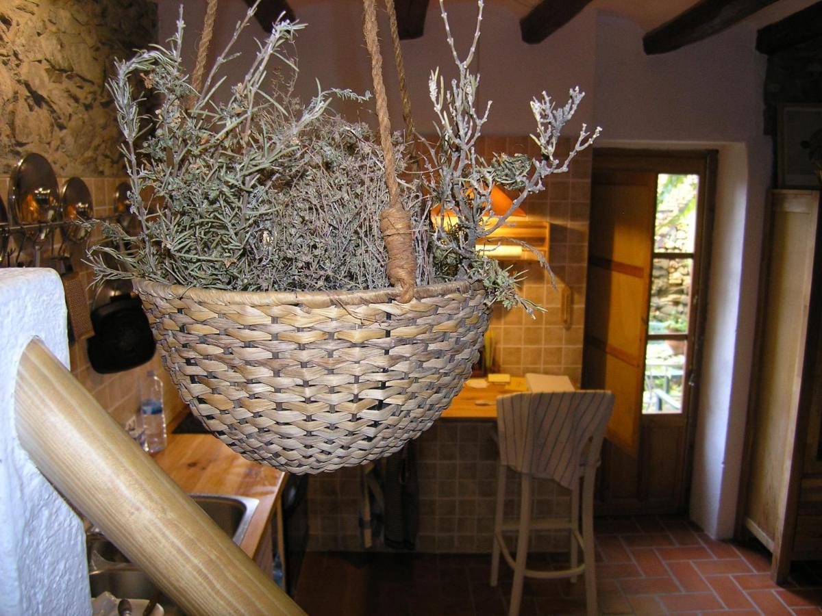 Cal Joanet, Acollidora Caseta A גרטלופס מראה חיצוני תמונה